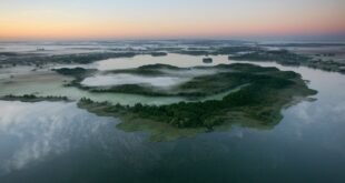 niemcydlapolakow.pl Müritz-Nationalpark - obszar wodny i leśny na północy Niemiec